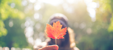Best Places to Live in Canada for Millennials