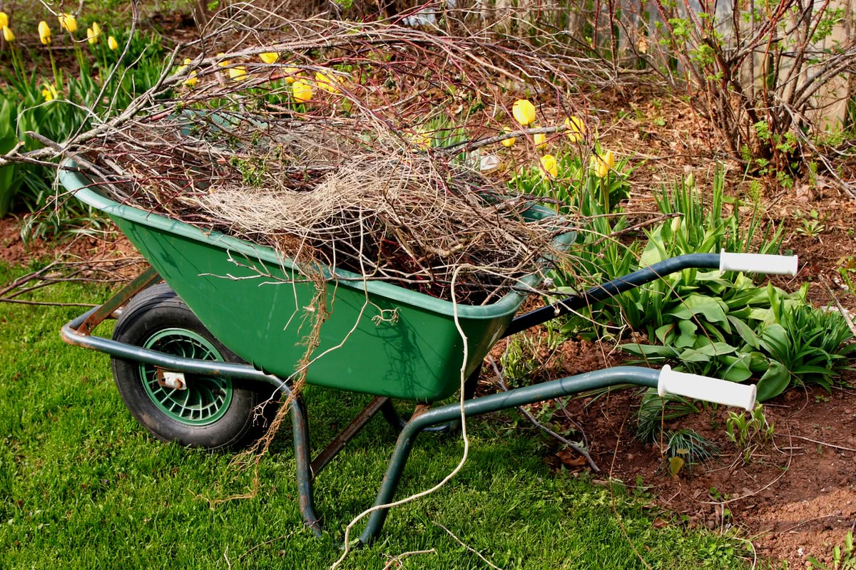 clean up to landscape your home clean up to landscape your home